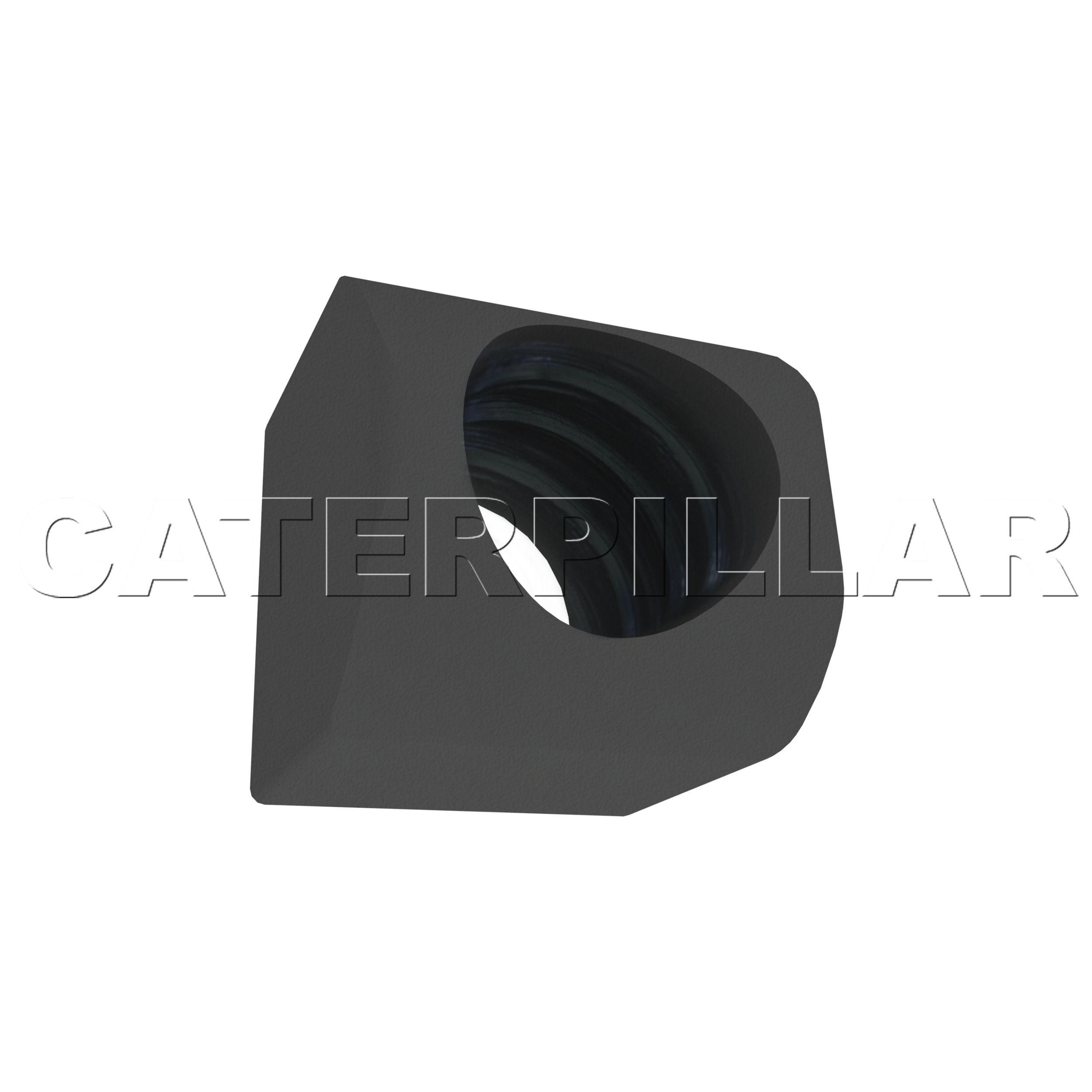 CAT096-0586.jpg